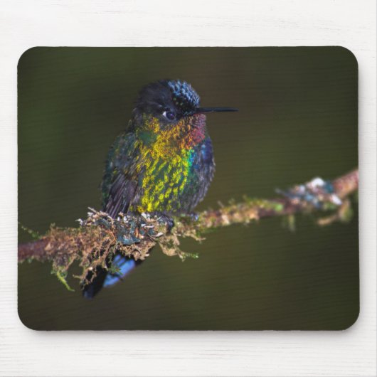 Hummingvogel Muismat (Voorkant)