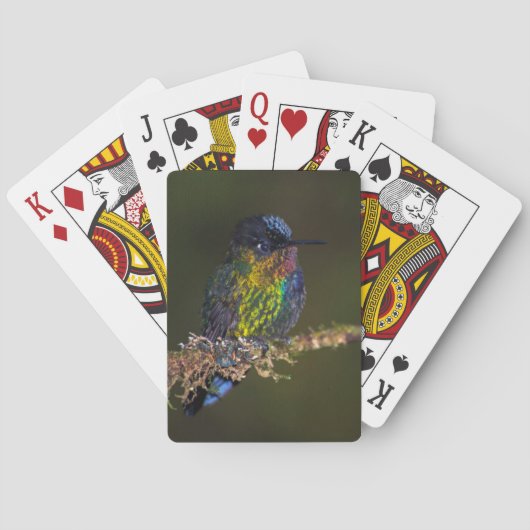 Hummingvogel Pokerkaarten (Achterkant)