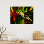 Hummingvogel Poster (Keuken)