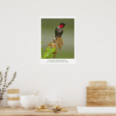 Hummingvogel Poster (Keuken)