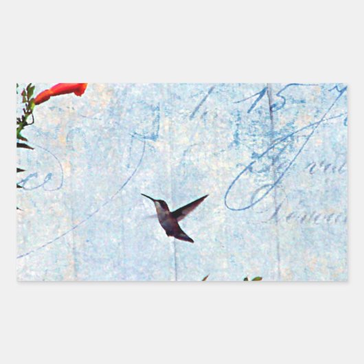 Hummingvogel Rechthoekige Sticker (Voorkant)