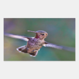 Hummingvogel Rechthoekige Sticker