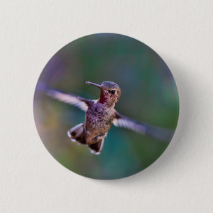 Hummingvogel Ronde Button 5,7 Cm