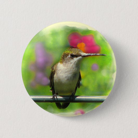 Hummingvogel Ronde Button 5,7 Cm (Voorkant)