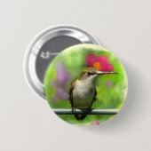 Hummingvogel Ronde Button 5,7 Cm (Voorkant /achterkant)