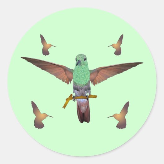 Hummingvogel Ronde Sticker (Voorkant)