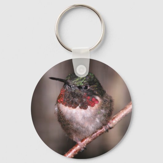 Hummingvogel Sleutelhanger (Voorkant)