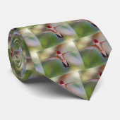 Hummingvogel Stropdas (Opgerold)