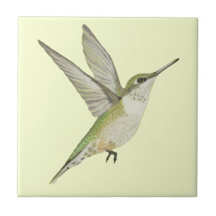 Hummingvogel Tegeltje