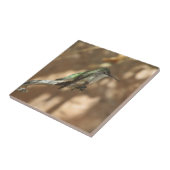Hummingvogel Tegeltje (Zijkant)