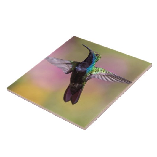 Hummingvogel Tegeltje (Zijkant)