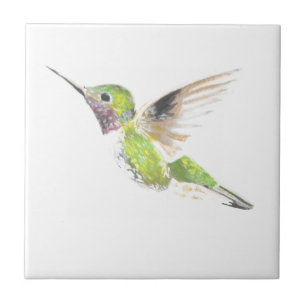 Hummingvogel Tegeltje