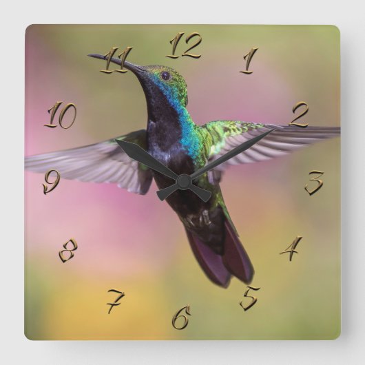 Hummingvogel Vierkante Klok (Voorkant)