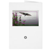 Hummingvogelmeel op de vlucht (Achterkant)