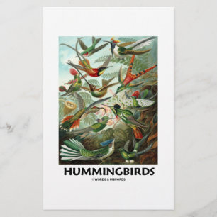 Hummingvogels