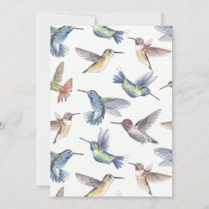 Hummingvogels