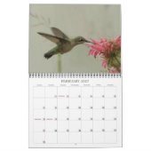 Hummingvogels - 2010 kalender (Feb 2027)