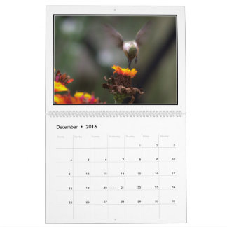 Hummingvogels 2016 Maandelijks Agenda door Tom Min Kalender