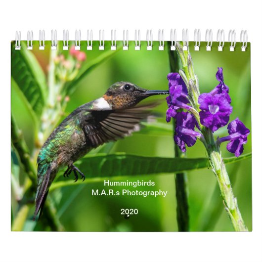 Hummingvogels 2020 kalender (Hoes)