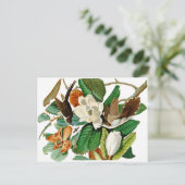 Hummingvogels Briefkaart (Staand voorkant)