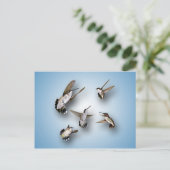 Hummingvogels Briefkaart (Staand voorkant)