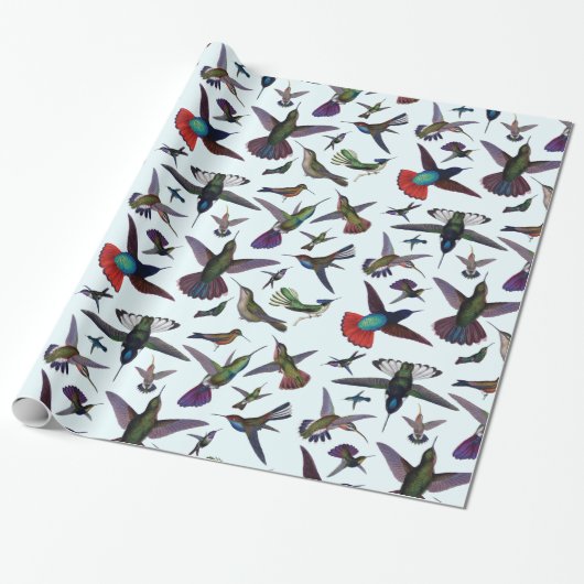 Hummingvogels Cadeaupapier (Uitgerold)