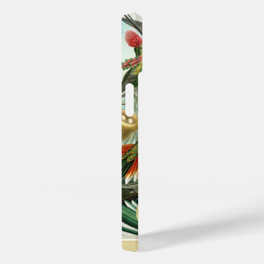 Hummingvogels Case-Mate iPhone Case (Achterkant / Rechts)