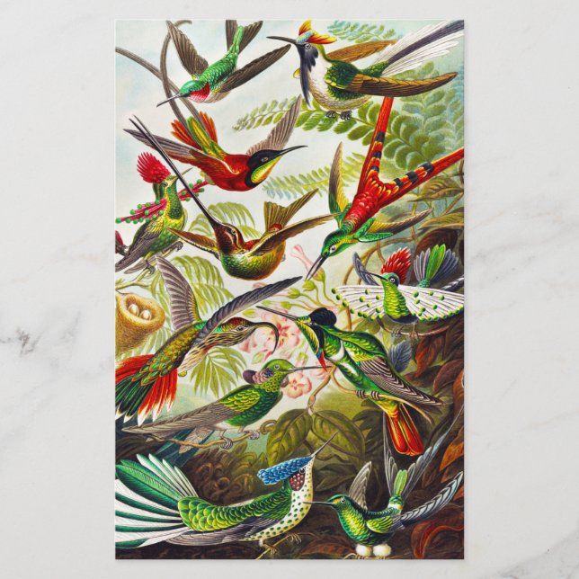  Hummingvogels door Ernst Haeckel (Voorkant)