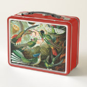 Hummingvogels door Ernst Haeckel (Achterkant)