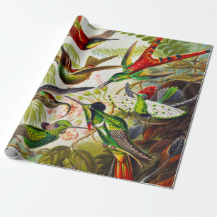 Hummingvogels door Ernst Haeckel Cadeaupapier