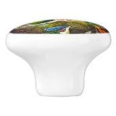  Hummingvogels door Ernst Haeckel Keramische Knop (Zijkant)