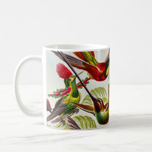 Hummingvogels door Ernst Haeckel Koffiemok (Links)