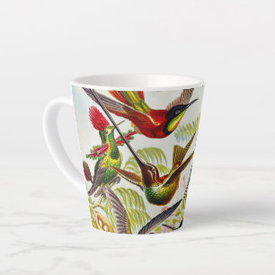 Hummingvogels door Ernst Haeckel Latte Mok