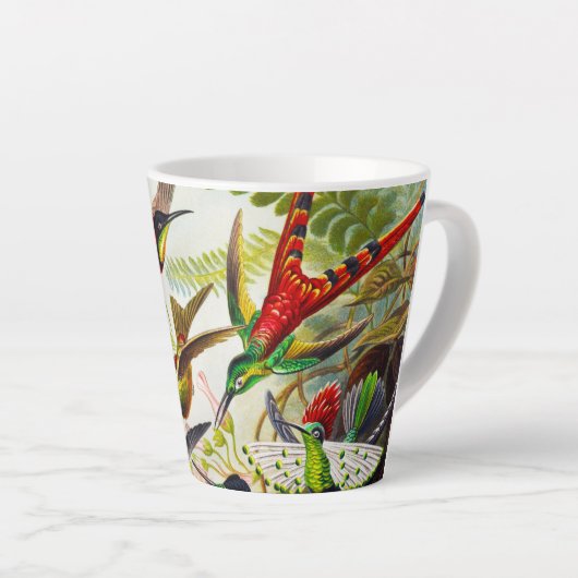  Hummingvogels door Ernst Haeckel Latte Mok (Rechterhoek)