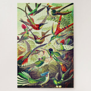  Hummingvogels door Ernst Haeckel Legpuzzel