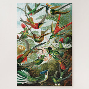 Hummingvogels door Ernst Haeckel Legpuzzel