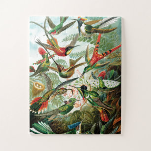 Hummingvogels door Ernst Haeckel Legpuzzel