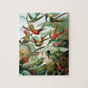Hummingvogels door Ernst Haeckel Legpuzzel