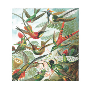 Hummingvogels door Ernst Haeckel Notitieblok