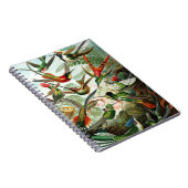 Hummingvogels door Ernst Haeckel Notitieboek (Rechterzijde)