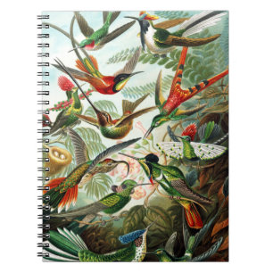 Hummingvogels door Ernst Haeckel Notitieboek