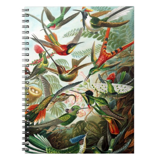 Hummingvogels door Ernst Haeckel Notitieboek (Voorkant)