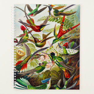 Hummingvogels door Ernst Haeckel Planner