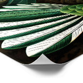 Hummingvogels door Ernst Haeckel Poster (Hoek)