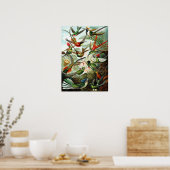 Hummingvogels door Ernst Haeckel Poster (Keuken)