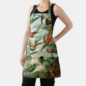 Hummingvogels door Ernst Haeckel   Schort (Insitu)