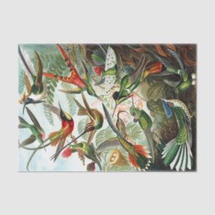 Hummingvogels door Ernst Haeckel Tissuepapier