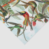 Hummingvogels door Ernst Haeckel Tissuepapier (Detail)