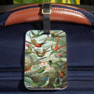 Hummingvogels door Ernst Haeckel, vogelbomen Bagagelabel