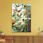 Hummingvogels door Ernst Haeckel,  vogelbomen Canvas Afdruk (Insitu (Woonkamer))